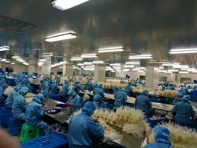 宜賓首家企業(yè)進入商務部醫(yī)療物資出口“白名單”