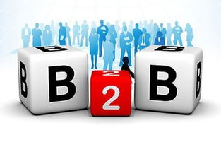 自營 撮合 ,打造醫(yī)療器械b2b電商平臺